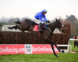 Energumene Returns To Action in Bar One Racing Hilly Way Chase at Cork on Sunday